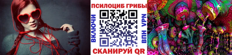 Псилоцибиновые грибы Psilocybe  кракен как зайти  Ступино  наркота 